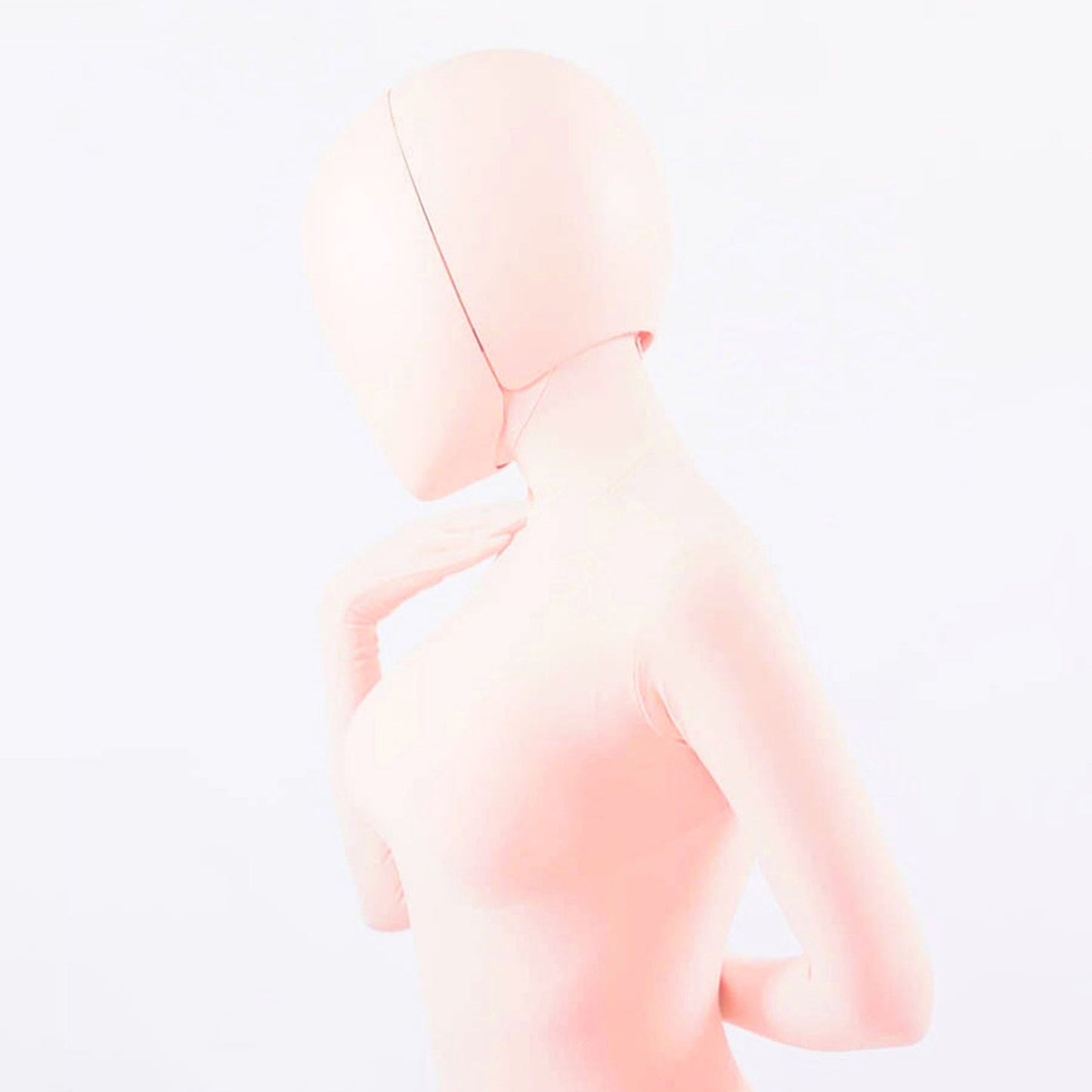 Model Pure Blank Full Head Face Shield Mask
