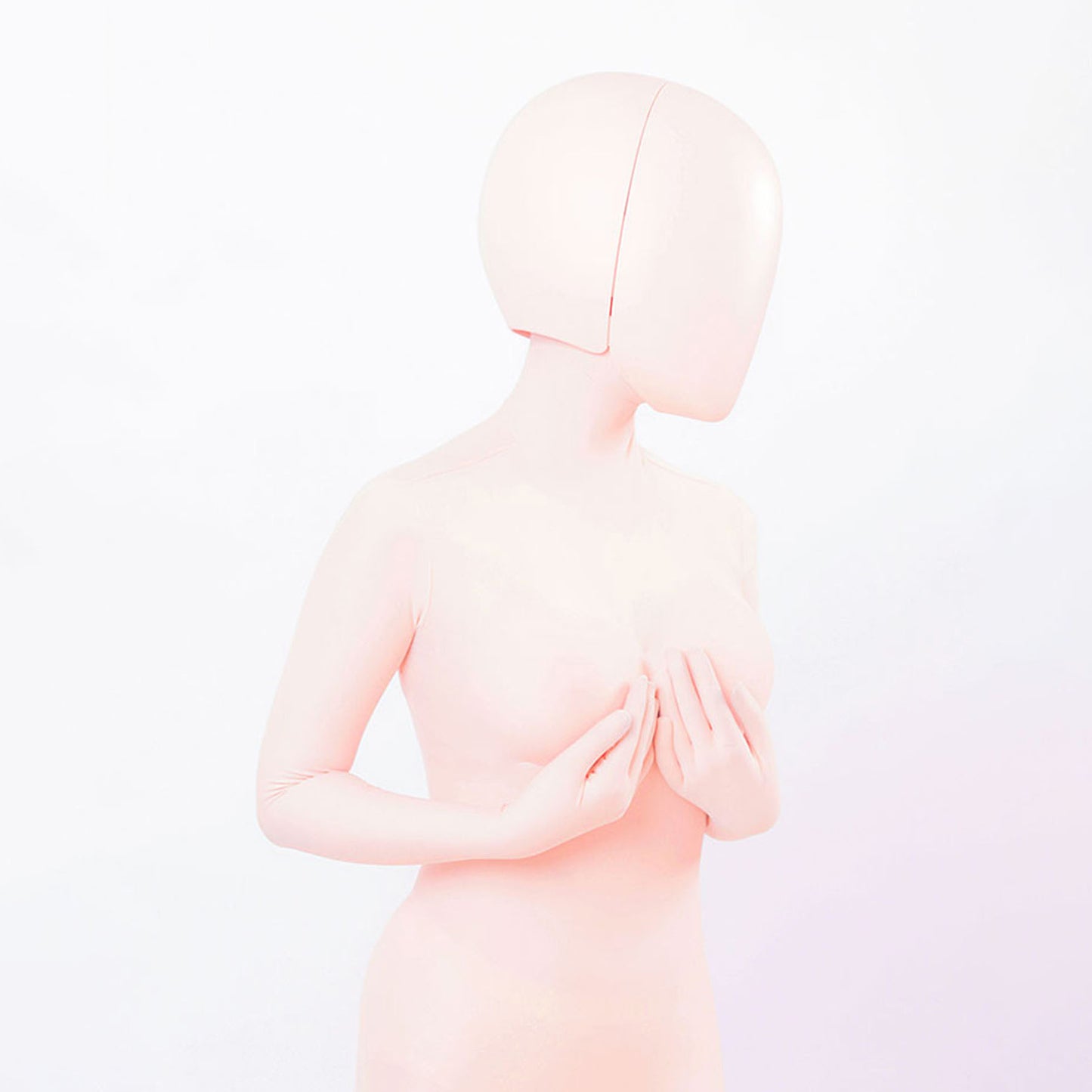 Model Pure Blank Full Head Face Shield Mask