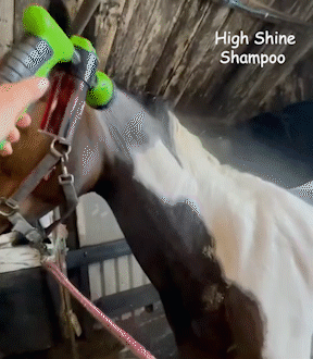 Petzel Multifunction Spray Nozzle