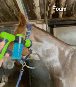 Petzel Multifunction Spray Nozzle