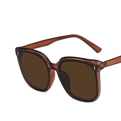 Square Large Frame Sunglasses